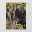 Search for floods postcards Nature