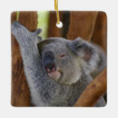 Search for cute koala bears christmas tree decorations Cuddly