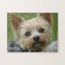 Search for yorkshire terrier puzzles Portrait
