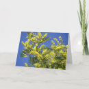 Search for mimosa cards Blue