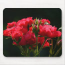 Search for budding mousepads Buds
