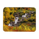 Search for glaciers magnets No people