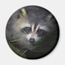 Search for subjects magnets Animals