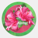 Search for hawaiian hibiscus stickers Party