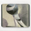 Search for pigeon electronics Bird