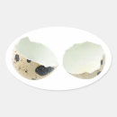 Search for egg shells Broken