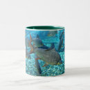 Search for shoals mugs Water