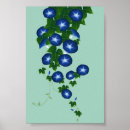 Search for shallow posters Flower