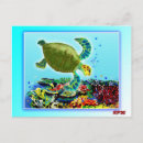 Search for great barrier reef postcards Turtle