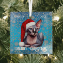 Search for sphynx cat christmas tree decorations Cute