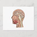 Search for neuroscience gifts Neurology