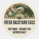 Search for free range eggs stickers Eggs for sale