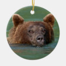 Search for grizzly bears christmas tree decorations Outdoors