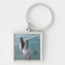 Search for bottlenose dolphin key rings Nature