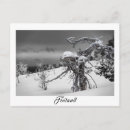 Search for halloween tree postcards Winter