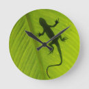 Search for chameleon posters Change