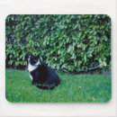 Search for tomcat mousepads Kitty