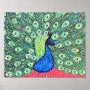 Search for white peacock posters Peacocks