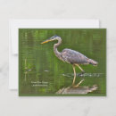 Search for hunters note cards Nature