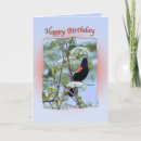 Search for black wing cards Bird