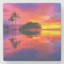 Search for hawaii coasters Nautical