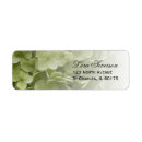 Search for green hydrangea return address labels Floral