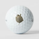 Search for turtle golf balls Tortoise