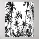 Search for black and white palm trees posters Exotic
