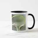 Search for hokkaido mugs Outdoors