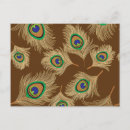 Search for peacock feather postcards Feathers