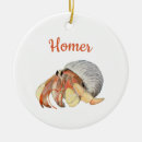 Search for beach shells christmas tree decorations Animal