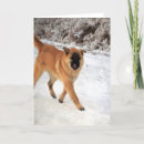 Search for dog walking cards Winter