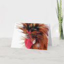 Search for rooster christmas cards Winter