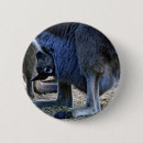 Search for marsupials badges Kangaroo