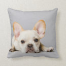 Search for french bulldog cushions Canine