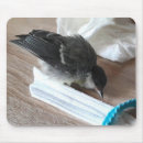 Search for major mousepads Bird