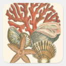 Search for sealife stickers Ocean