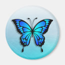 Search for butterfly magnets Butterflies