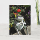 Search for frog get well cards Nature