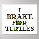 Search for turtle lovers posters Turtles