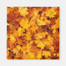 Search for fall leaf magnets Autumn