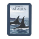 Search for orca whale Whales