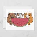Search for pet food postcards Pets