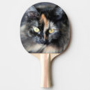Search for furry ping pong paddles Cat