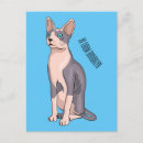 Search for sphynx cat postcards Hairless