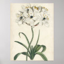 Search for botanical study posters Florals