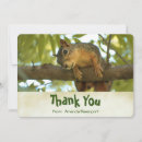 Search for cute squirrels cards Funny