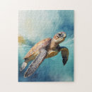Search for turtle puzzles Artistic