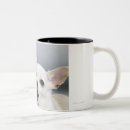 Search for dog licks mugs Animal