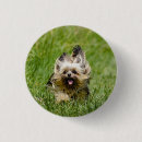 Search for grass badges Cute